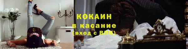 гашик Володарск