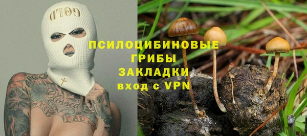 гашик Володарск