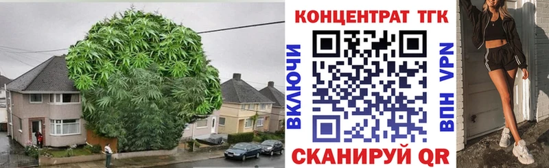 ТГК гашишное масло  как найти   Канск 